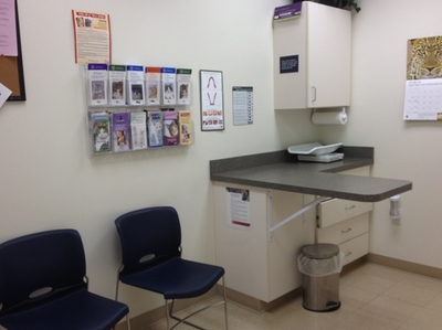 Wellness & Preventive Care