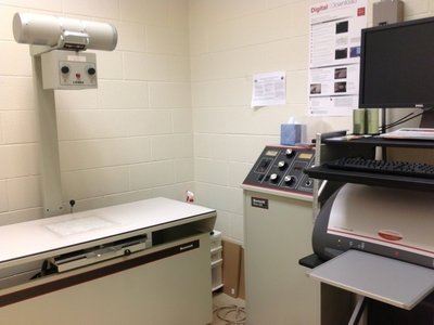 Radiological Examinations