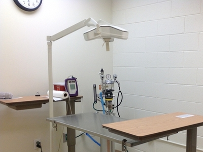 Surgical Care